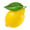 lemon
